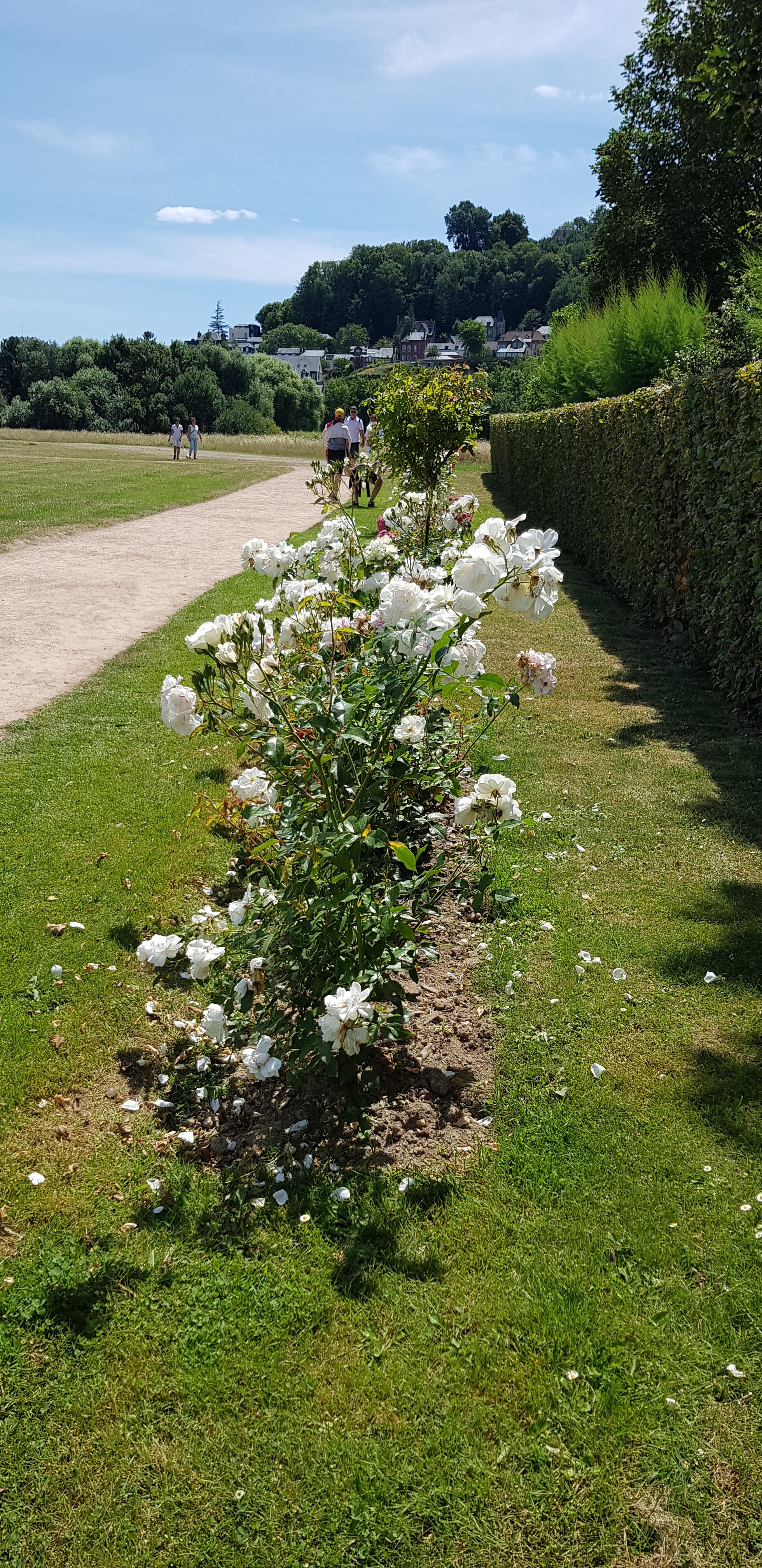 Photo n° 1 de l'avis de Stephane.o fait le 12/07/2020 à 19:25