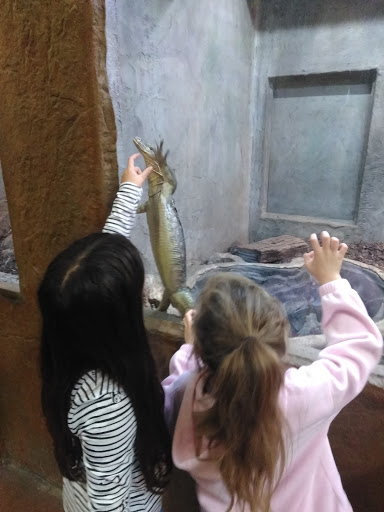 Pet Store «Lost Realms Pets», reviews and photos, 8059 N Cedar Ave, Fresno, CA 93720, USA