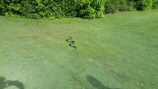 Golf Club «The Hooch Golf Club», reviews and photos, 2705 Peachtree Industrial Blvd, Duluth, GA 30097, USA