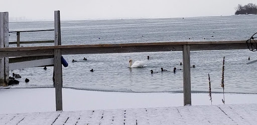 Banquet Hall «Silver Shores Waterfront», reviews and photos, 1 James DeSana Dr, Wyandotte, MI 48192, USA