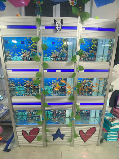 Deniz kuşevi petshop | Sultangazi İstanbul - Evcil hayvan mağazası