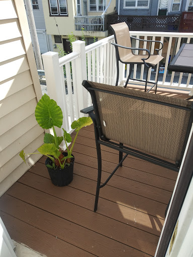 Florist «Hillside Nursery», reviews and photos, 570 E Baltimore Ave, Clifton Heights, PA 19018, USA