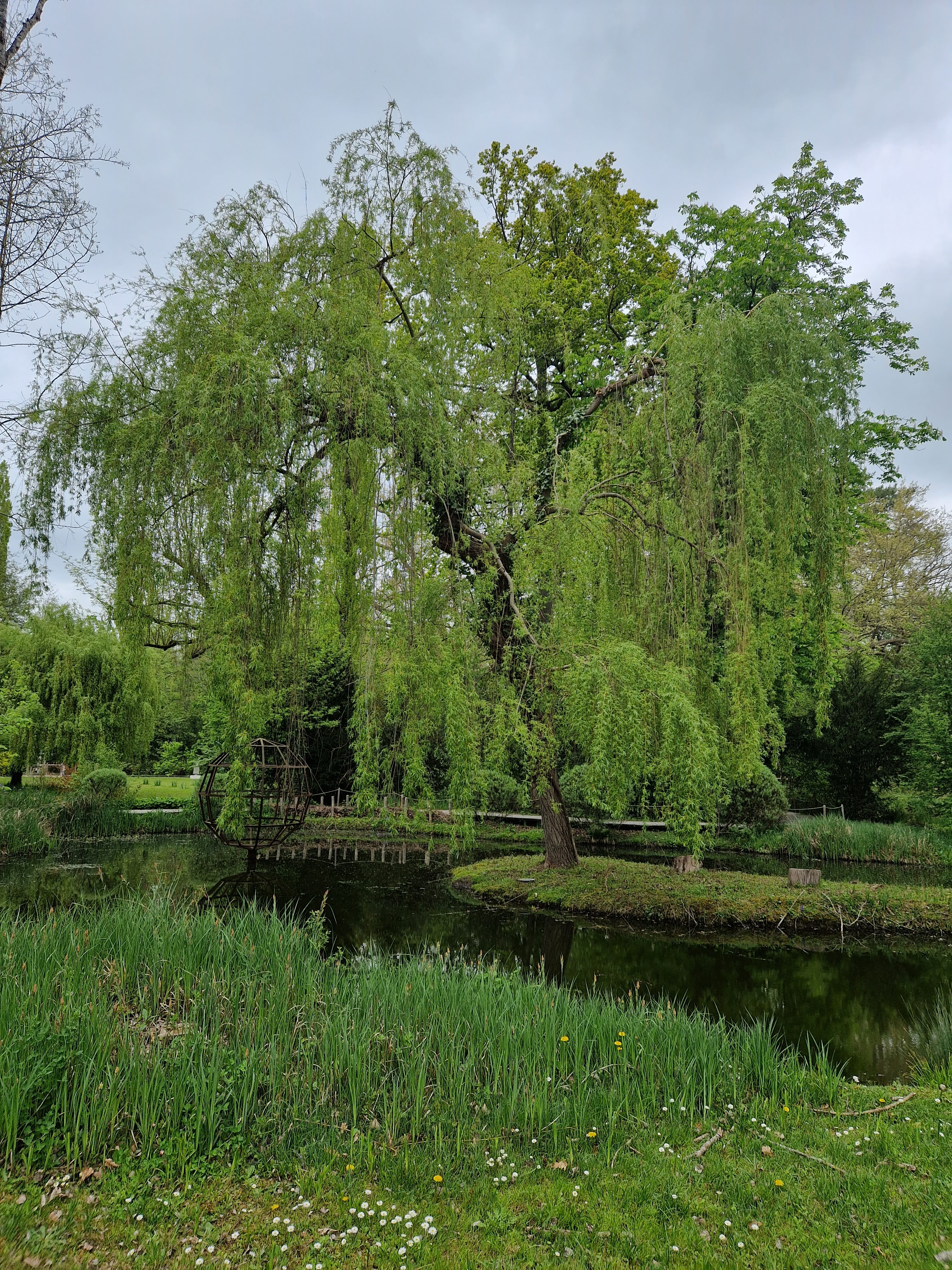 Photo n° 11 de l'avis de LENOIR.O fait le 30/04/2023 à 17:07