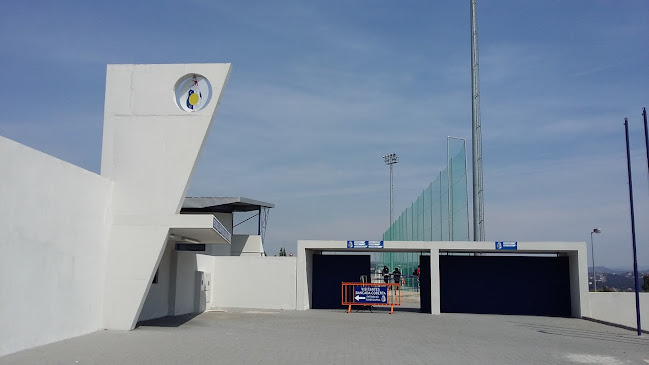 C.F. Oliveira do Douro - Campo de futebol