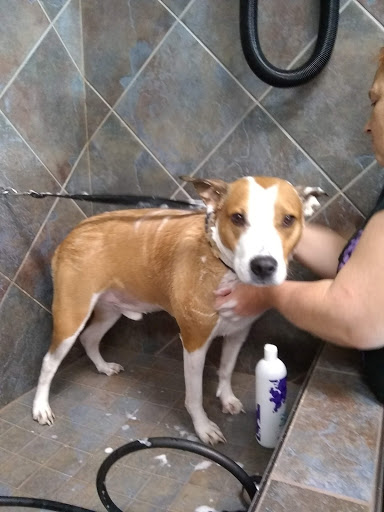 Pet Store «Pet Valu», reviews and photos, 604 Plaza Dr, Newark, DE 19702, USA