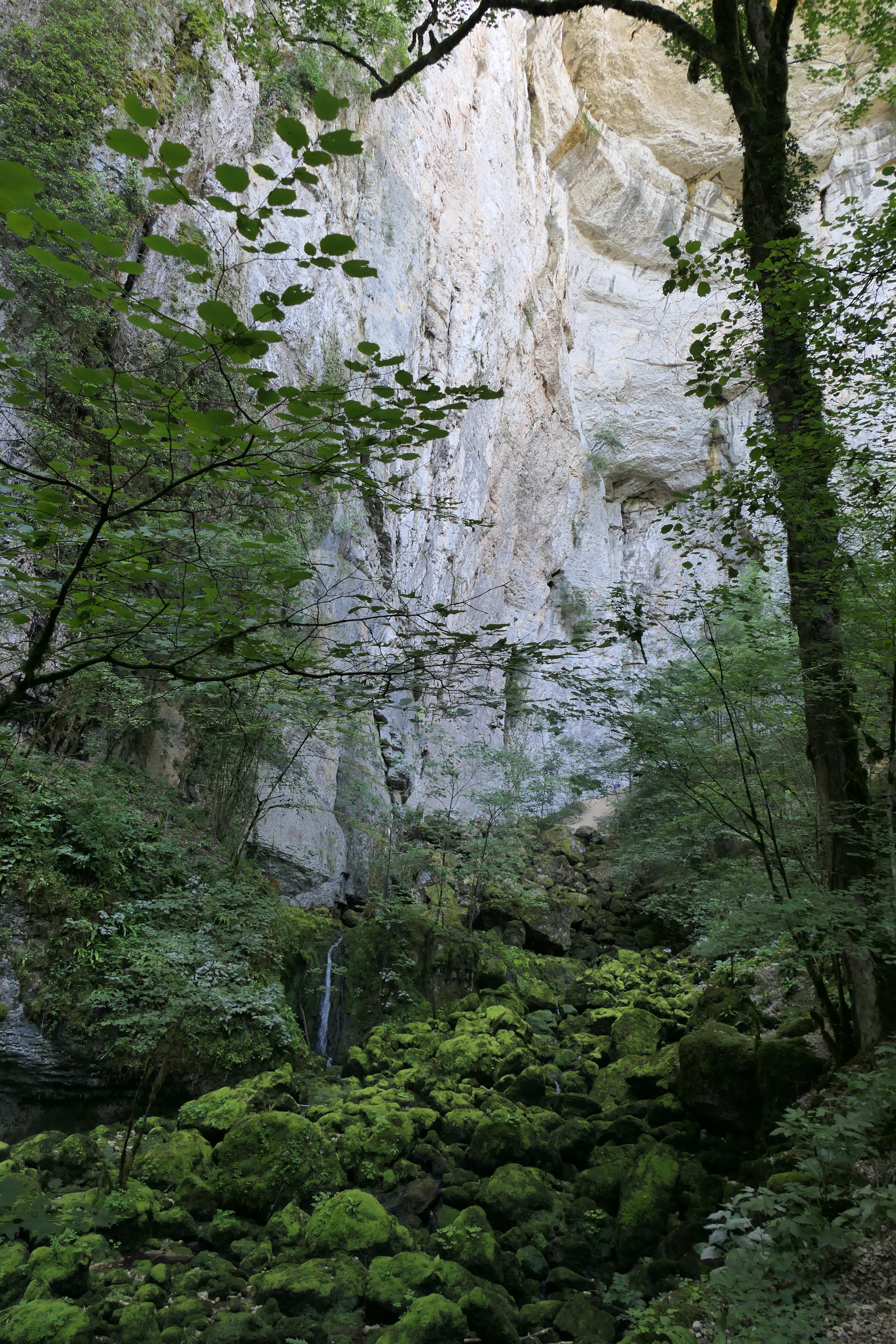 Photo n° 4 de l'avis de Hubert.o fait le 15/08/2023 à 16:36