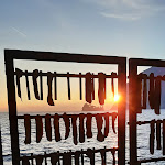 Photo n°8 de l'avis de LAURA. fait le 04/02/2024 à 09:59 sur le  Bar La Spiaggetta di Dalmeri Elena à Monte Isola