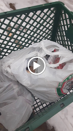 Grocery Store «Honey Bee La Colmena», reviews and photos, 2443 Bagley Ave, Detroit, MI 48216, USA