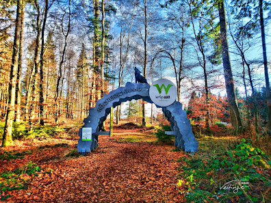 Wolfssteig Südschwarzwald 79862 Höchenschwand, Deutschland