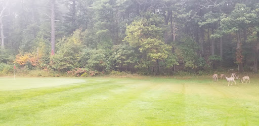 Golf Course «Cedar Glen Golf Course», reviews and photos, 60 Water St, Saugus, MA 01906, USA