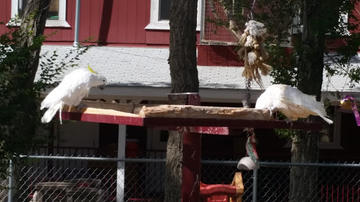 Zoo «Sierra Safari Zoo», reviews and photos, 10200 N Virginia St, Reno, NV 89506, USA