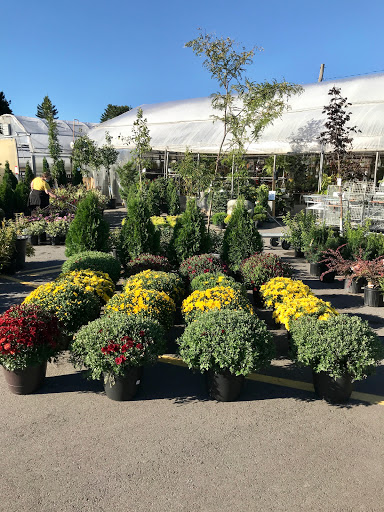 Gardener Ottawa