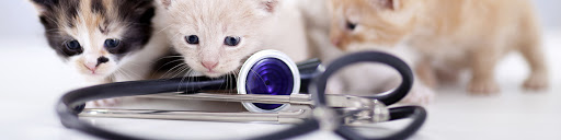 14437 Michigan Ave, Dearborn, MI 48126, USA