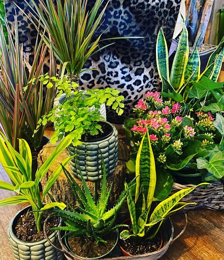 Florist «Forget-Me-Not Florist», reviews and photos, 104 Clairmont Dr, Hendersonville, NC 28791, USA