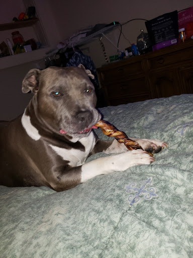 Pet Supply Store «Concord Pet Foods & Supplies», reviews and photos, 287 Christiana Rd, New Castle, DE 19720, USA