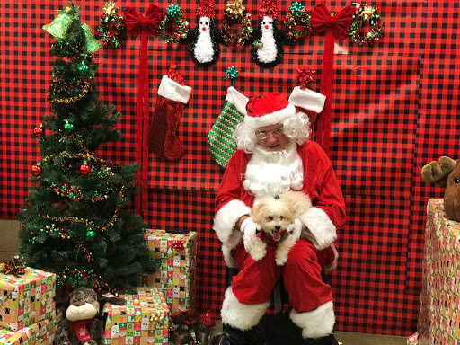 Pet Supply Store «PetSmart», reviews and photos, 2141 N Rose Ave, Oxnard, CA 93036, USA