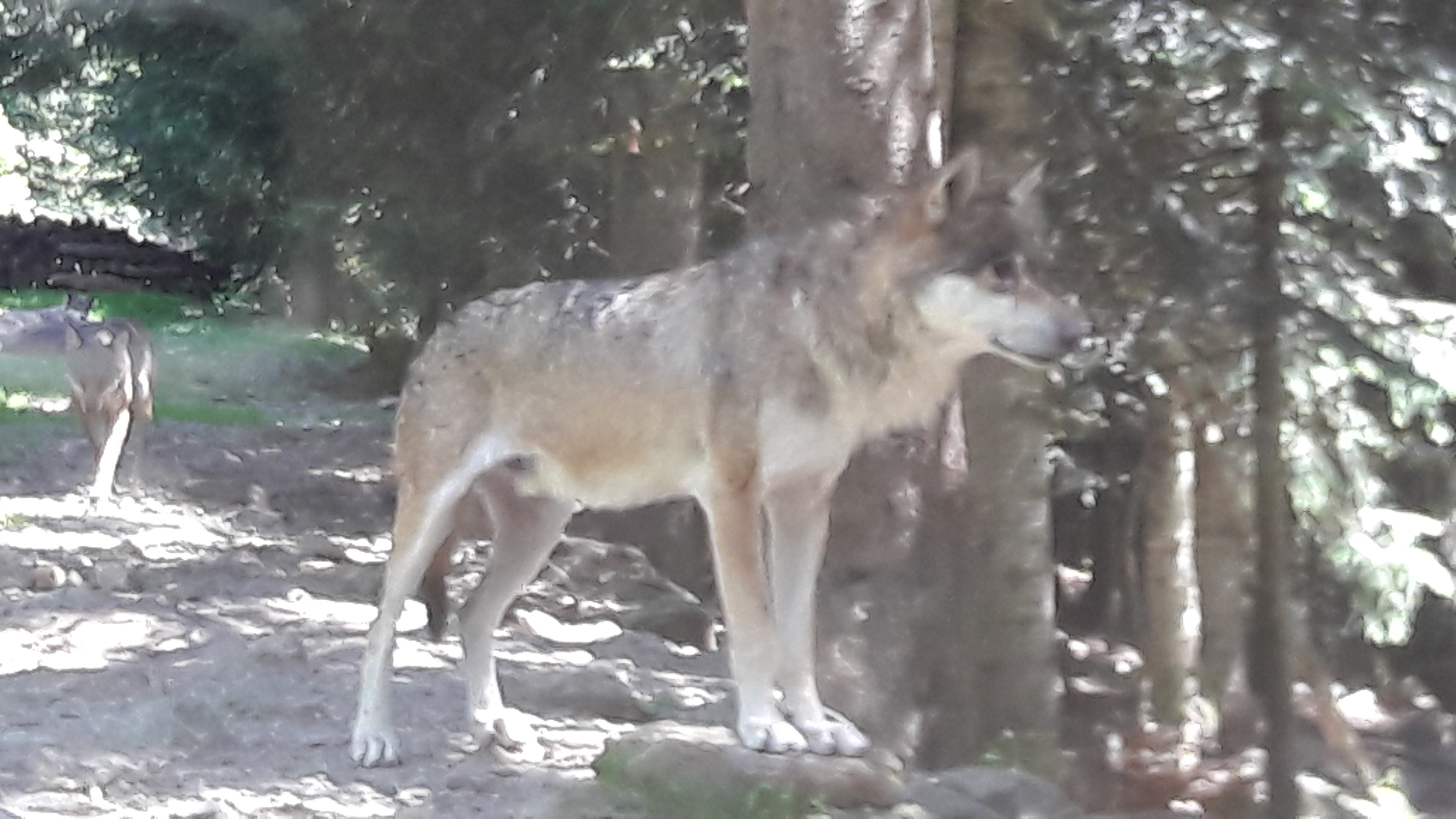 Photo n° 9 de l'avis de Ambre.h fait le 05/03/2017 à 01:43