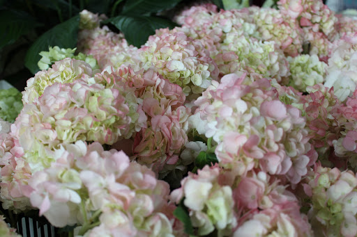 Florist «Mums the Word Floral Shoppe», reviews and photos, 129 Merchants Way, Marlton, NJ 08053, USA