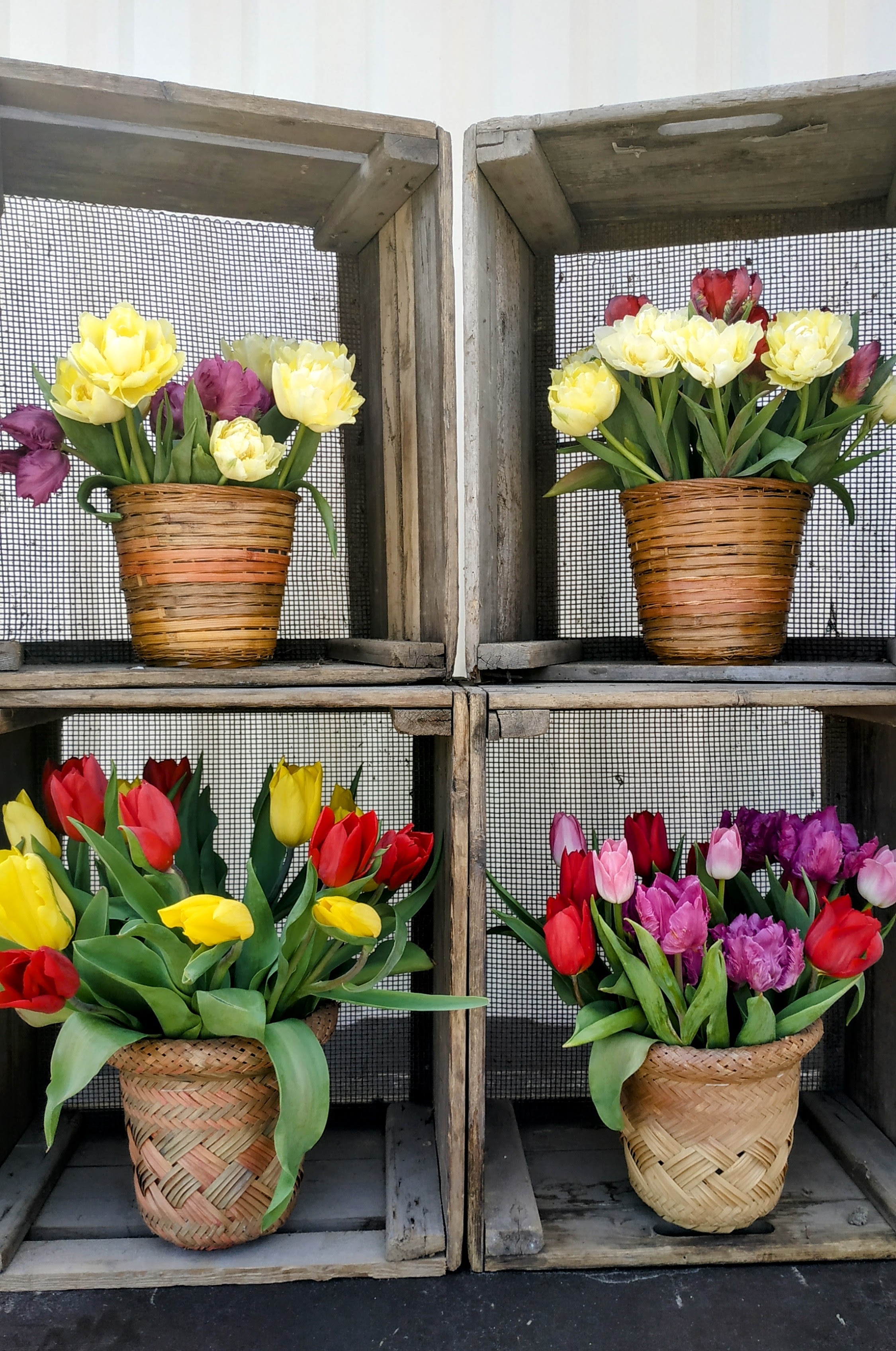 Photo n° 8 de l'avis de The.a fait le 05/04/2023 à 21:57