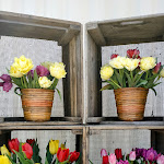 Photo n° 8 de l'avis de The.a fait le 05/04/2023 à 21:57 pour Kaandorp à Plomeur