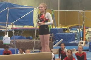 Gymnastics Unlimited image