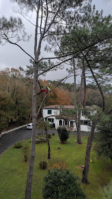 Arboletik à Bidart