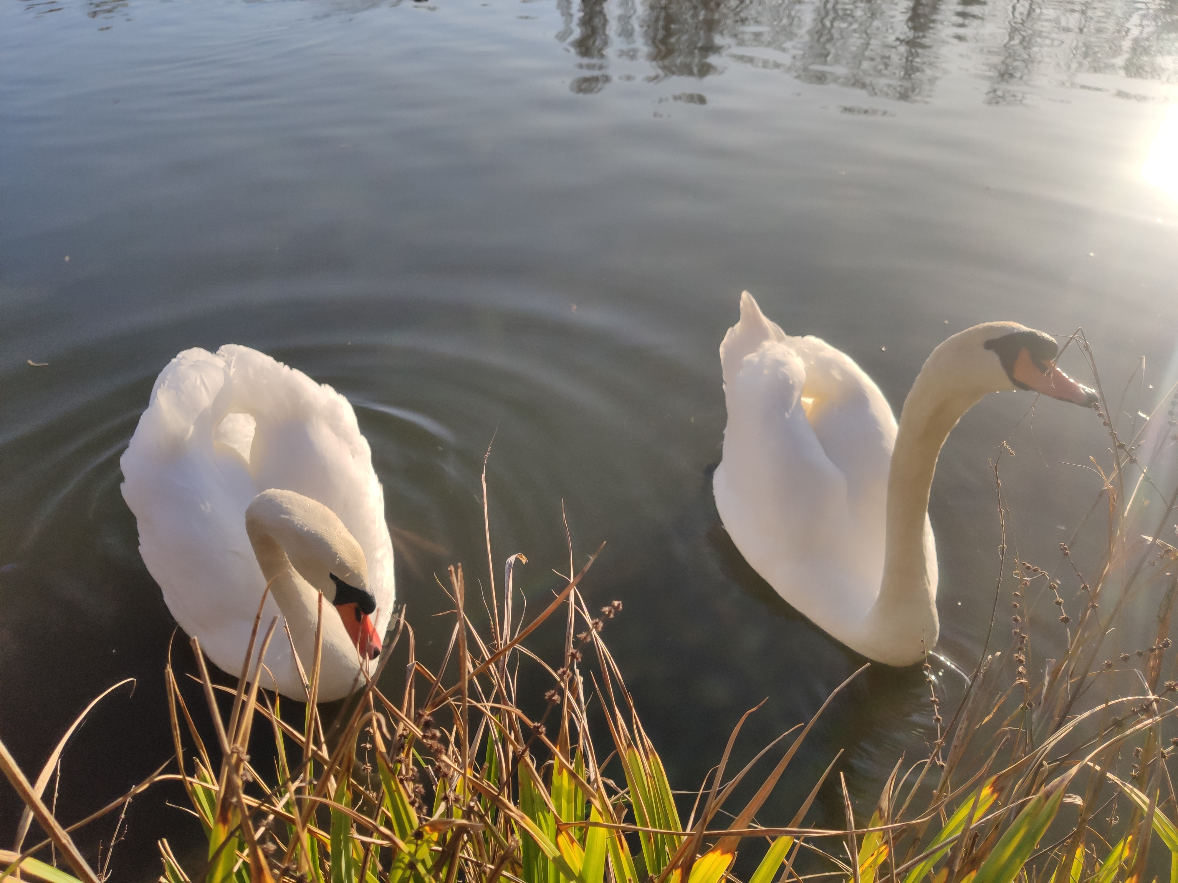 Photo n° 9 de l'avis de Marc.l fait le 21/04/2021 à 10:14
