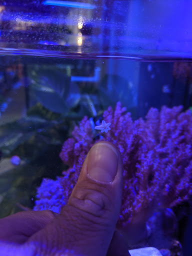 Tropical Fish Store «The Premium Aquarium», reviews and photos, 1875 25th St SE, Salem, OR 97302, USA