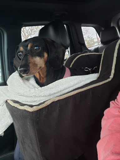 Pet Supply Store «Pet Supplies Plus», reviews and photos, 803 Hillcrest Rd, Mobile, AL 36695, USA