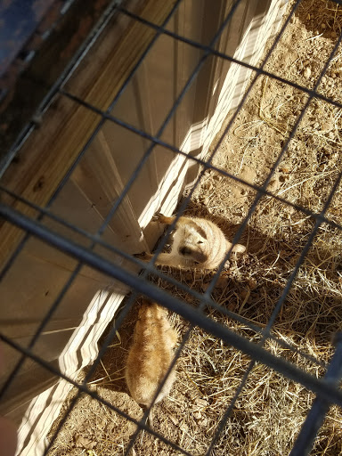 Zoo «Special Memories Zoo», reviews and photos, W7013 Spring Rd, Greenville, WI 54942, USA