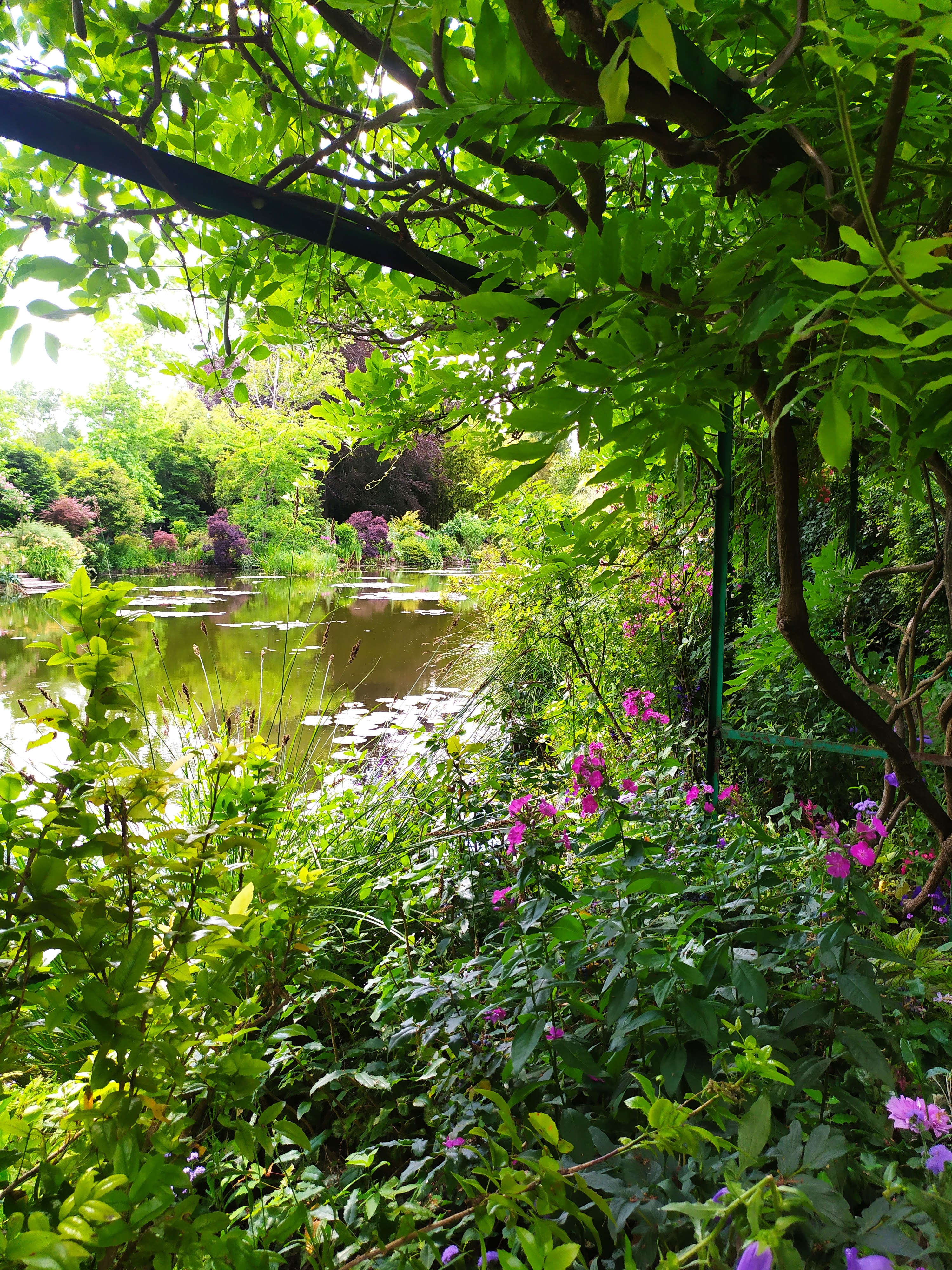 Photo n° 7 de l'avis de Christelle.E fait le 23/06/2022 à 19:09