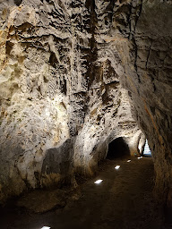 Photo n°11 de Vallée des Grottes de Saulges - Musée de Préhistoire à Thorigné-en-Charnie ()