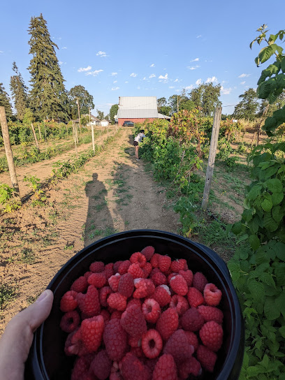 Childers' Raspberry Farm