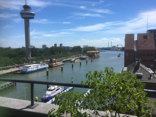 Praktijk Puntegale Mindfulness trainingen in Rotterdam