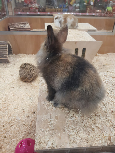 Pets at Home Southwark