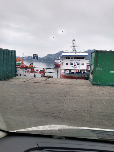 Opiniones de Transmarko en Puerto Montt - Servicio de transporte