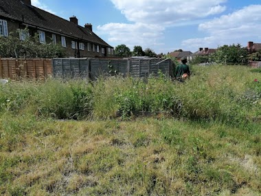 Coco Collective - Ital Community Garden
