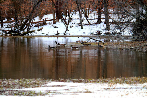 Nature Preserve «Piedmont Environmental Center», reviews and photos, 1220 Penny Rd, High Point, NC 27265, USA
