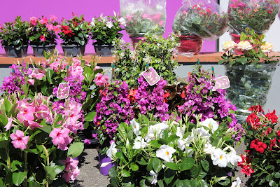 Terre de Fleurs Montauban - Interflora à Montauban