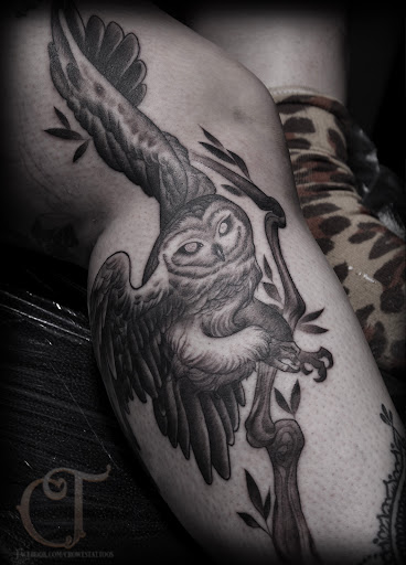 Explore panda tattoo ideas, creative tattoo ideas in Houlton, available at Crowes Tattoos