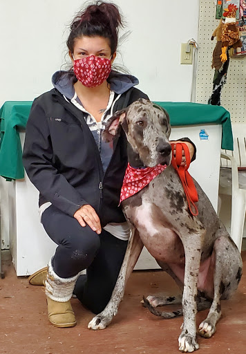 Store «Country Pet Farm & Garden Ltd», reviews and photos, 26170 Territorial Rd, Rogers, MN 55374, USA