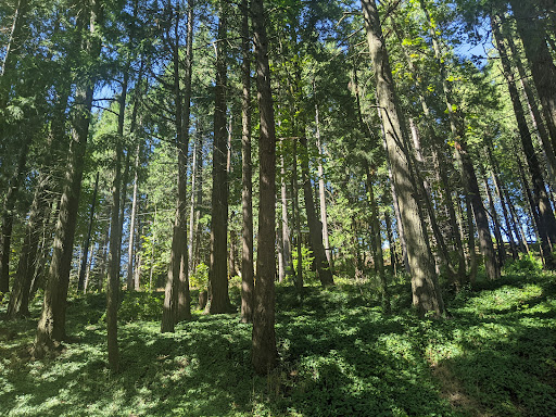 Museum «Shelton-McMurphey-Johnson House», reviews and photos, 303 Willamette St, Eugene, OR 97401, USA