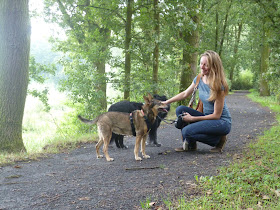 Hondenoppas, uitlaatservice & gedragstherapie voor honden Liesbeth Troubleyn