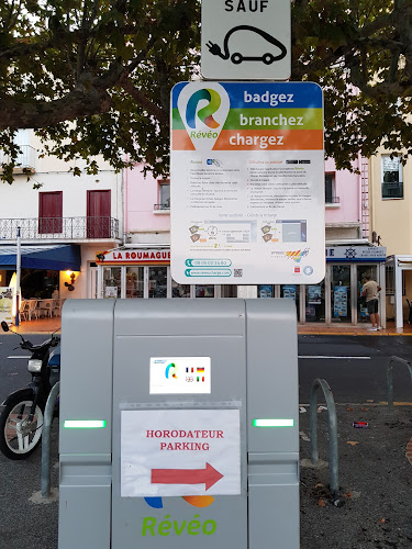 Borne de recharge de véhicules électriques Reveo Charging Station Cerbère