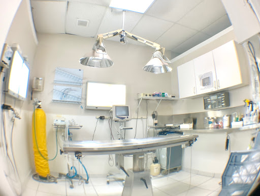 14627 SW 104th St, Miami, FL 33186, USA