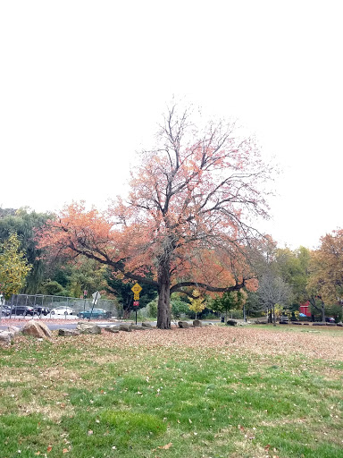 Park «Van Cortlandt Park», reviews and photos, Broadway and Vancortlandt Park S, Bronx, NY 10462, USA
