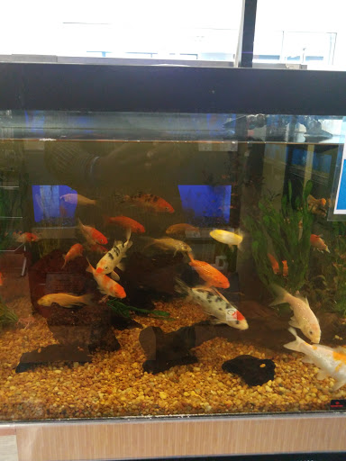 Pet Supply Store «Petco Animal Supplies», reviews and photos, 3077 Waldorf Market Pl, Waldorf, MD 20603, USA