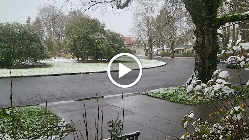 Coffee Shop «Palio Espresso and Dessert House», reviews and photos, 1996 SE Ladd Ave, Portland, OR 97214, USA