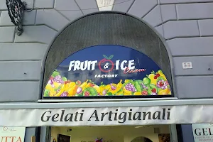 Fruit & Ice cream factory image