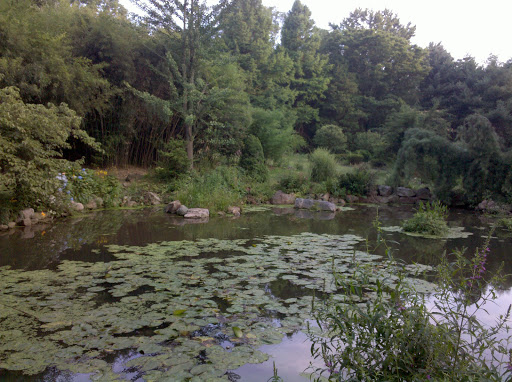 Gift Shop «Stonehedge Gardens», reviews and photos, 51 Dairy Rd, Tamaqua, PA 18252, USA